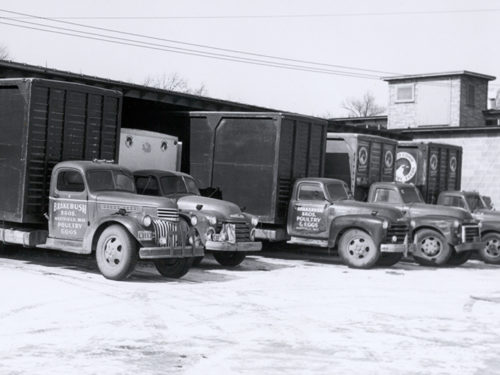 Brakebush Truck Fleet