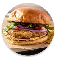 A chicken burger with harissa paste, arugula, onions, and tomato